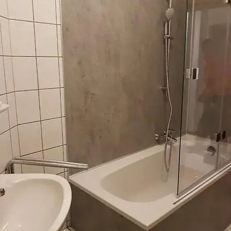 Grosse Ferienwohnung In Dresden-lobtau * Dresden