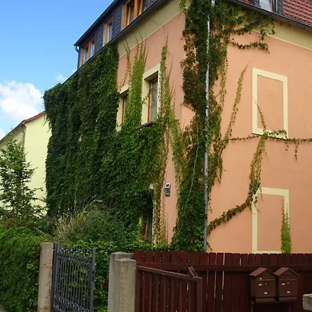 Frank's In Dresden