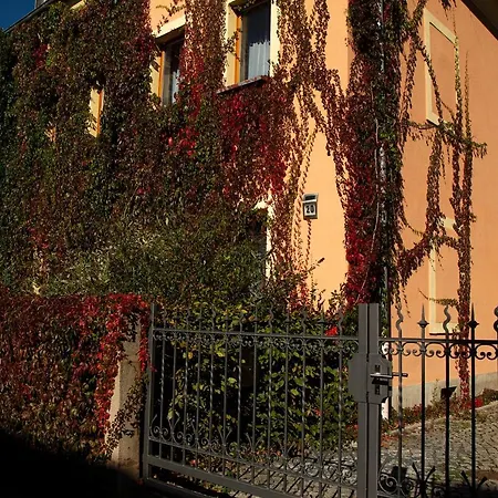 Frank's In Dresden