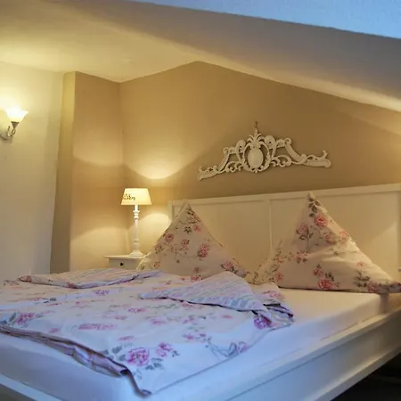 Romantika Guest house Dresden