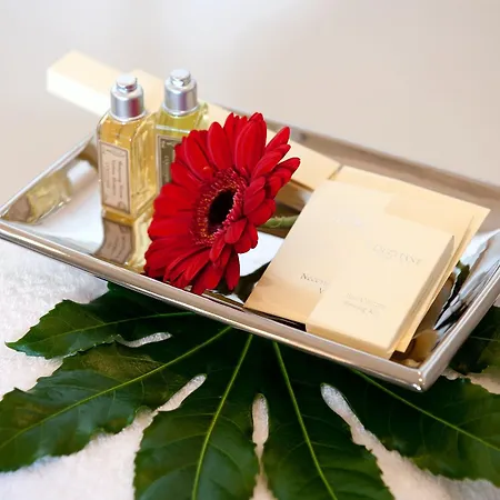 Elbflorenz Otel 4*