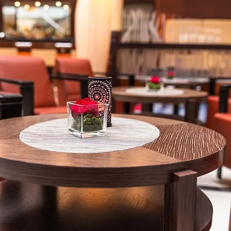 ستيجنبرجر دي ساكسي 5* دريسدن