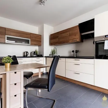 Апартаменты Pineapple Altstadt Ii - 124 Qm - 1x Free Parking