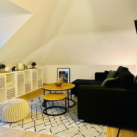 Ein Blick Uber Elbtal Apartment Dresden