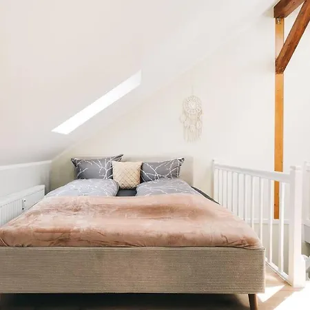 Tip! Toplage In Dresden! Moderne 100 Qm Fuer Familien Und Kleine Gruppen Apartment