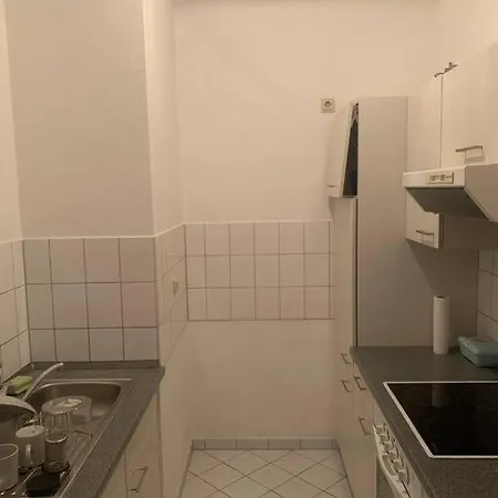 Traumwohnung An Der Elbe * Dresden