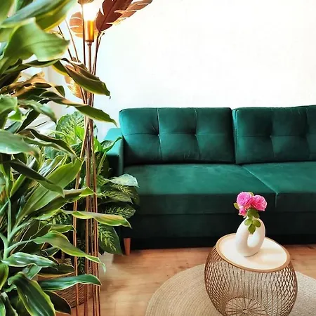 Apartment Tealounge 2 Raum + Kueche *
