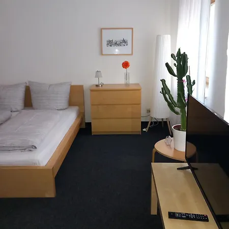 公寓 City-apartment Adlergasse