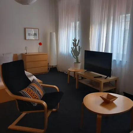 City-apartment Adlergasse 德累斯顿