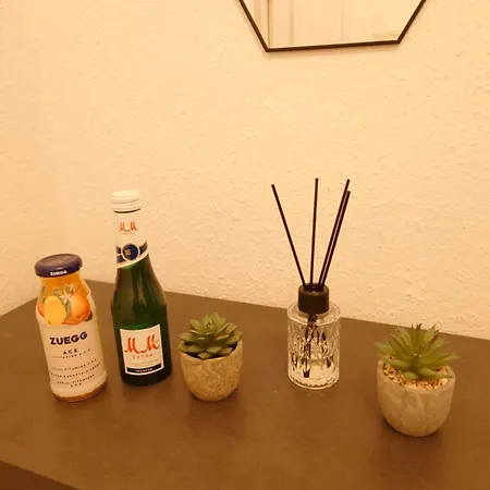 Federtraum Mit Sauna Sehr Gemuetlich, Neu Dresden