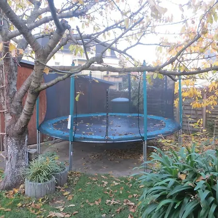 Apartment Gartenhaus Klotzsche