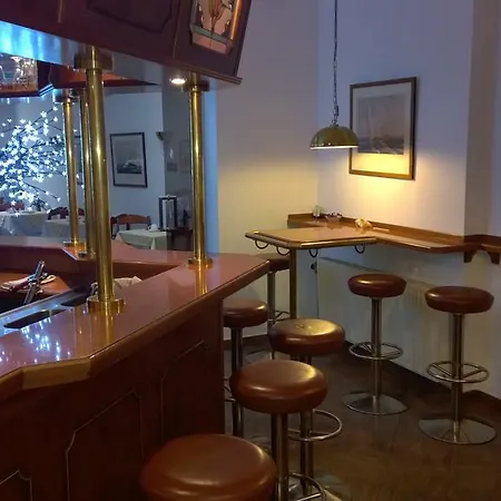 Hotel Windsor Dresda