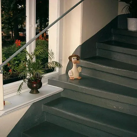Guest house Hotel-pension Koenigswald Dresden