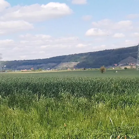 Dresden-entspannung-natur-trifft-2-staedte-am-fluss دريسدن