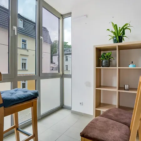 Gemuetliche 1-zimmer-wohnung Apartment Dresden