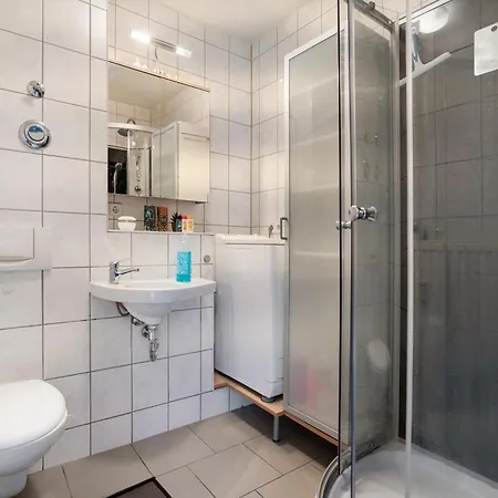 Apartment Gemuetliche 1-zimmer-wohnung Dresden