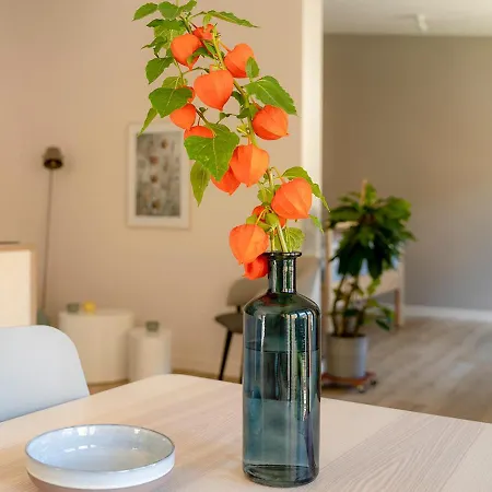 Apartment Dein Zuhause In Der Ferne - Der Gute Ton