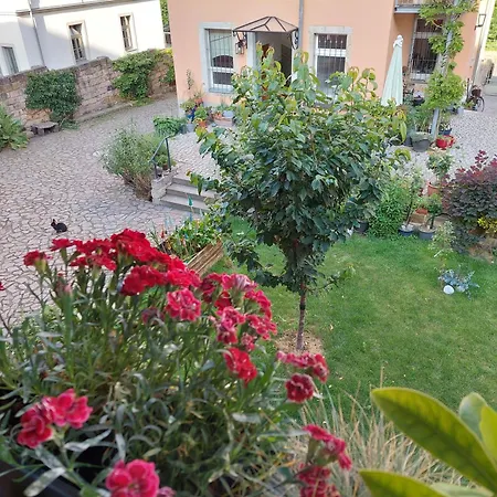 Dein Zuhause In Der Ferne - Der Gute Ton * Dresden