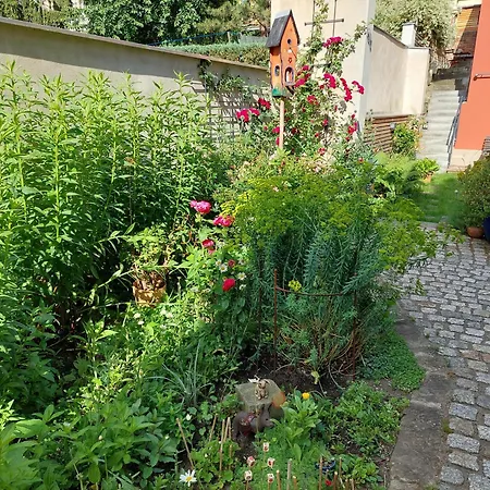 Apartment Dein Zuhause In Der Ferne - Der Gute Ton Dresden