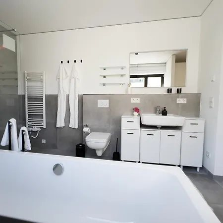 Apartamento Moderne Mit Grosszuegigen 100qm In Der Dresdner Altstadt