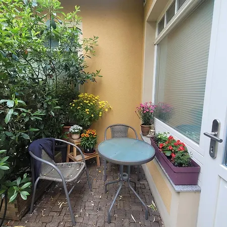 4 * Dresden
