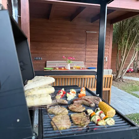 Elbharmonie Feriehus *