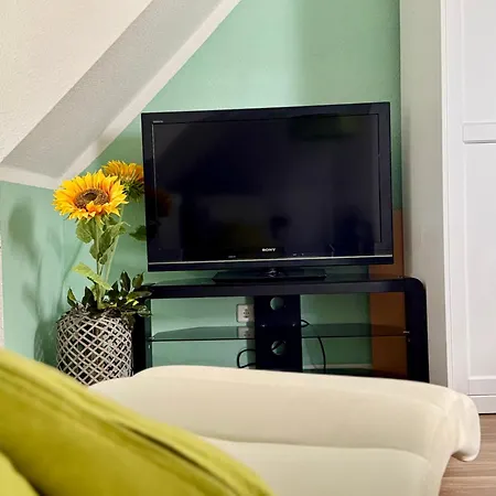 City View Apartment - Breakfast - Netflix - Free Shuttle Homestay *