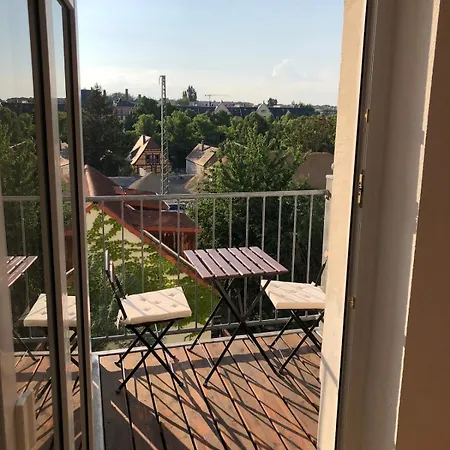 Apartment Helle 1raum Mit Balkon Und Kueche Dresden