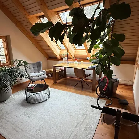Villa Winzerhaus Am Elbhang
