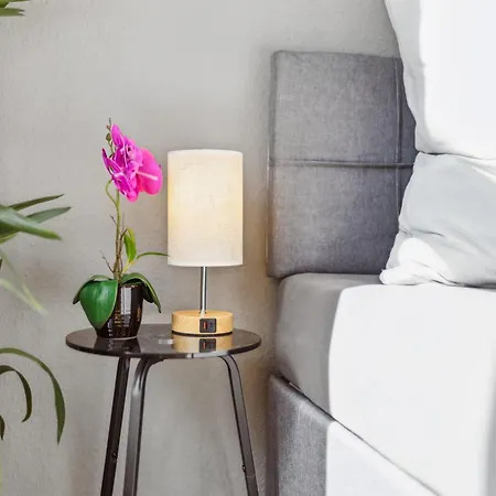 Appartement Dresdenstay Gemuetlich Naehe Zentrum Und Elbe Kamin Ps4 Dresde