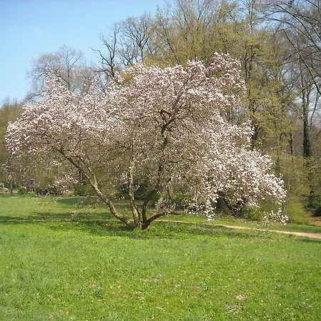 Schloss Eckberg Otel
