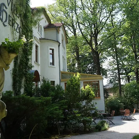 Herzog Dresden