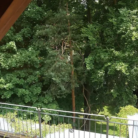 Herzog 3*
