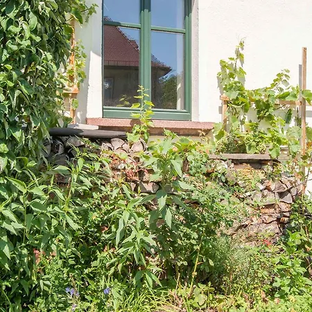 Homestay Gastezimmer Richter *