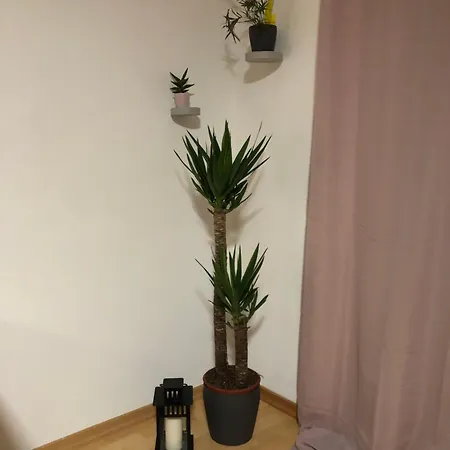 Modernes Neustadt Appartement *