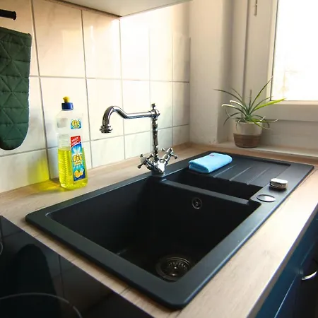 Whg./flat Am Grossen Garten In Dresden
