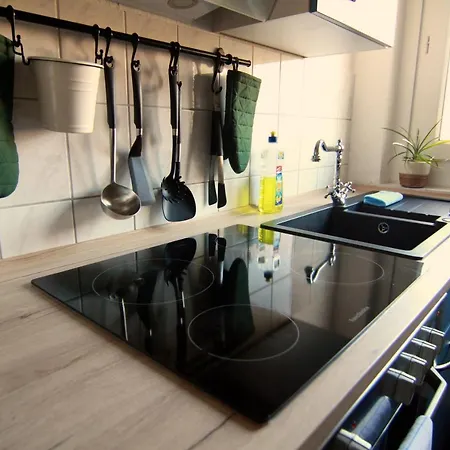 Whg./flat Am Grossen Garten In Apartment Dresden