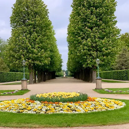 Bellavita * Dresden