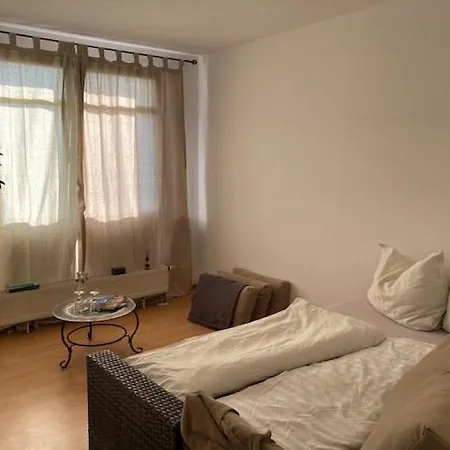 Panoramablick Auf Elbe Und Schlosser Apartment Dresden