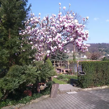 Alttolkewitzer Ferien- & Mrosk Guest house Dresden