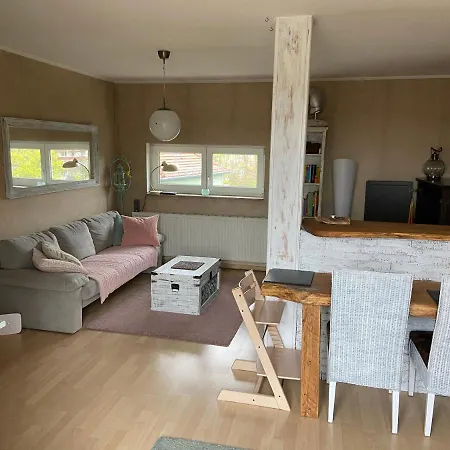 Dachterrassen Idylle Ueber Den Daechern Dresdens Dresden