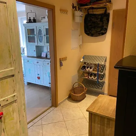 Dachterrassen Idylle Ueber Den Daechern Dresdens *