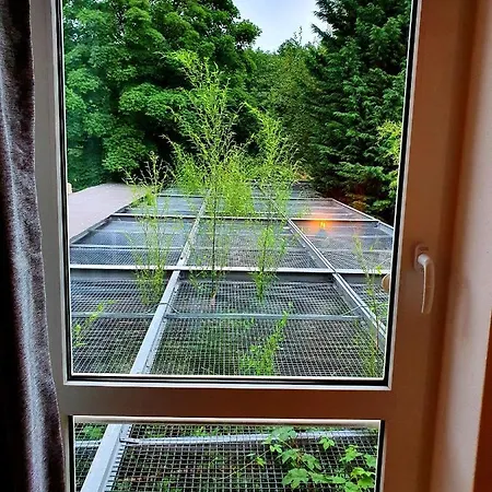 Papageiennest Apartment *