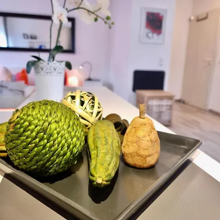 2,4,5,6 Altstadt - Am Grossen Garten Apartment Dresden