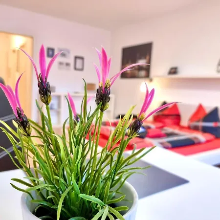 Apartment 2,4,5,6 Altstadt - Am Grossen Garten