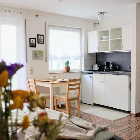 Apartment Gemuetliche Ferienwohnung In Ruhiger Lage Dresden