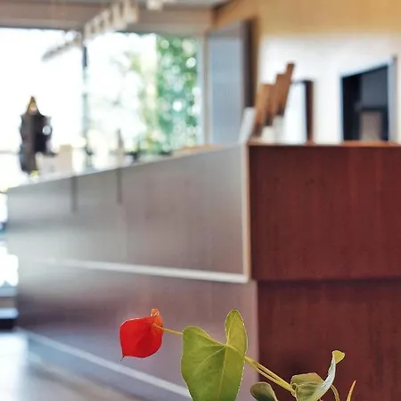 Bergwirtschaft Wilder Mann Und Restaurant 4* Dresden