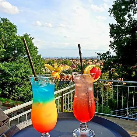 Bergwirtschaft Wilder Mann Und Restaurant