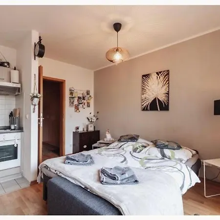 Apartment Kleine „louise“ In Der Neustadt Mit Tiefgarage Dresden
