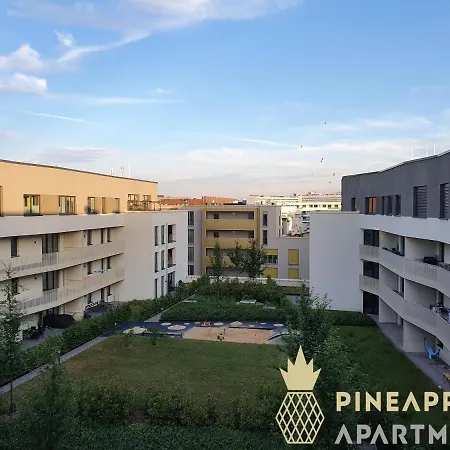 Pineapple Penthouse Am Zwinger - 162 Qm - 1x Free Parking Dresden